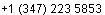 phone1